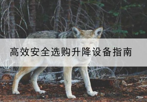 广信升降货梯厂家推荐-*安全选购升降设备指南