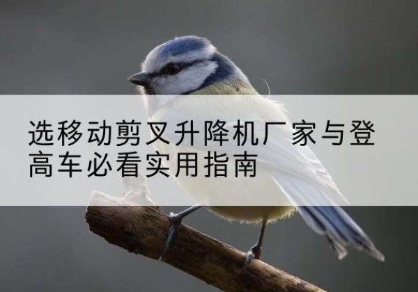广信电动升降机厂家-选移动剪叉升降机厂家与登高车必看实用指南