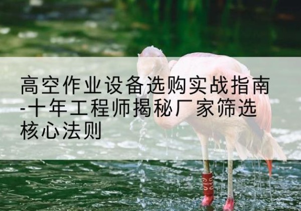 广信剪叉式升降机厂家-高空作业设备选购实战指南-十年工程师揭秘厂家筛选核心法则